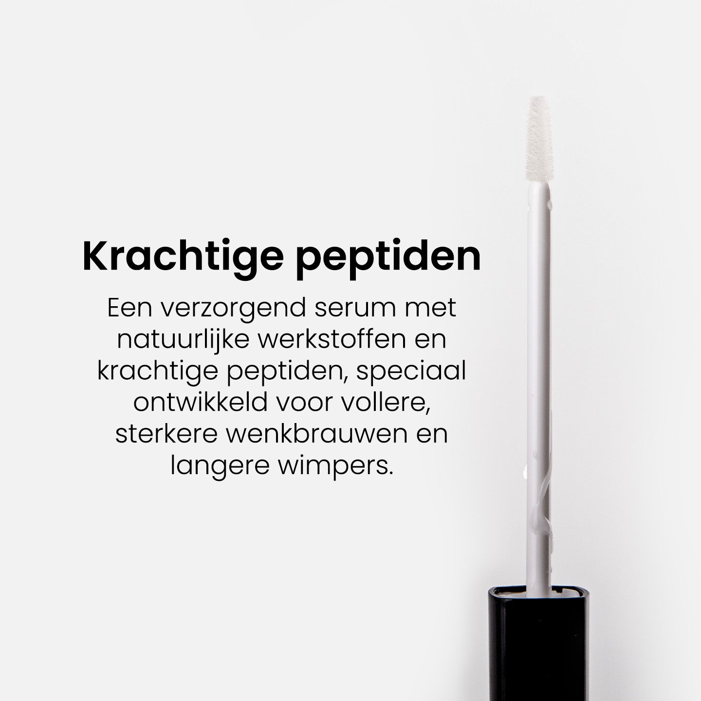 Advanced Brow & Lash Booster Serum