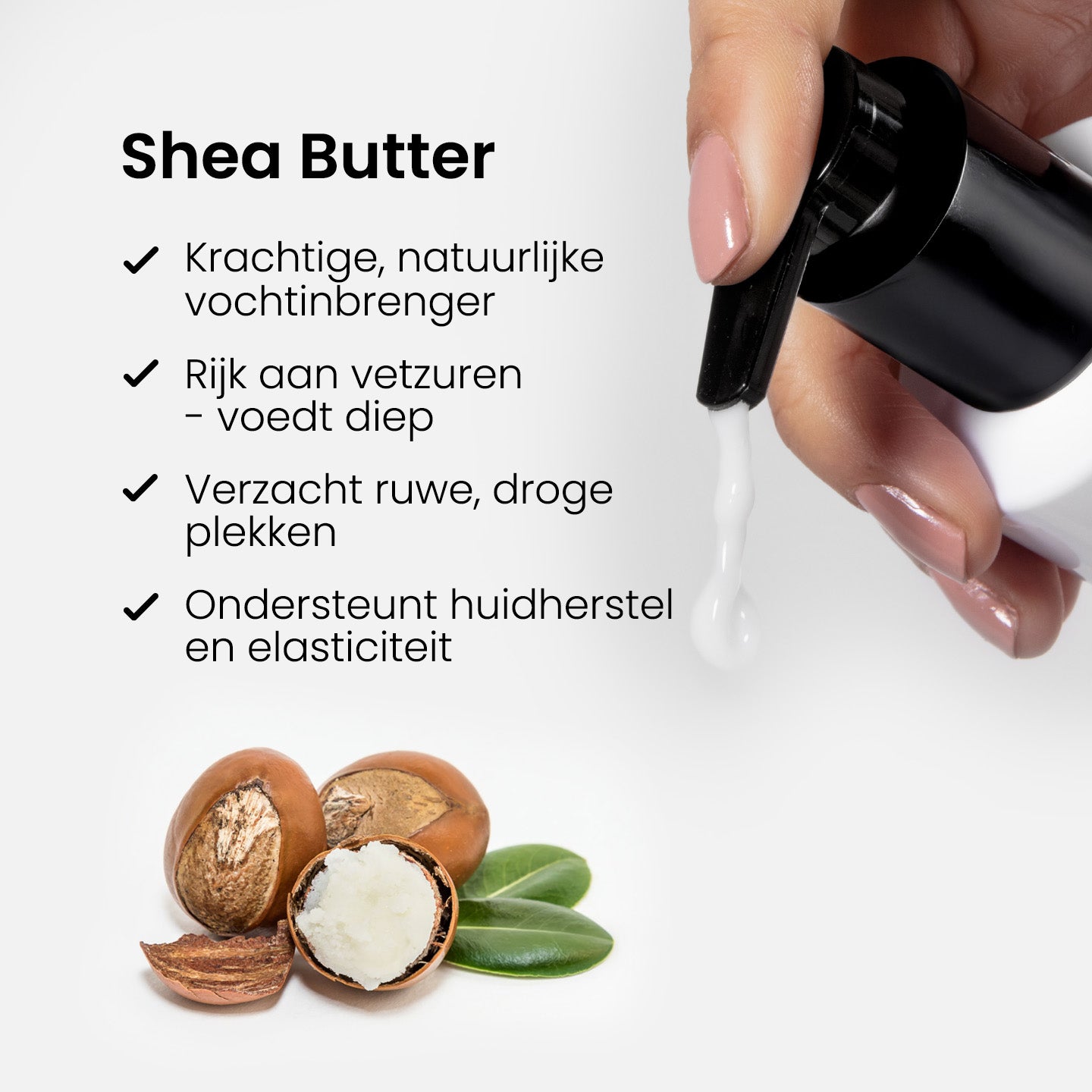 Ultra Rich Body Lotion