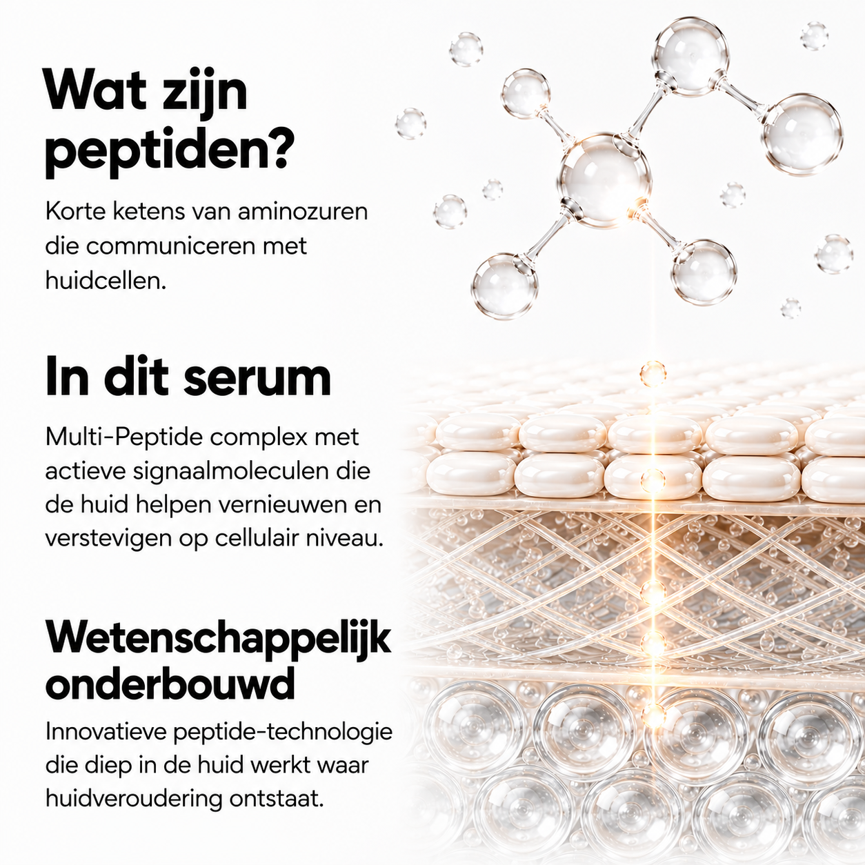 Peptide Booster Serum