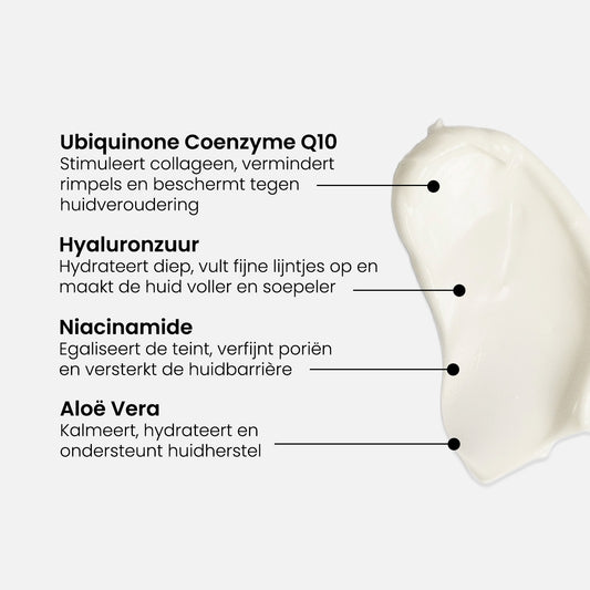 Q10 Anti-Aging SPF Day Cream