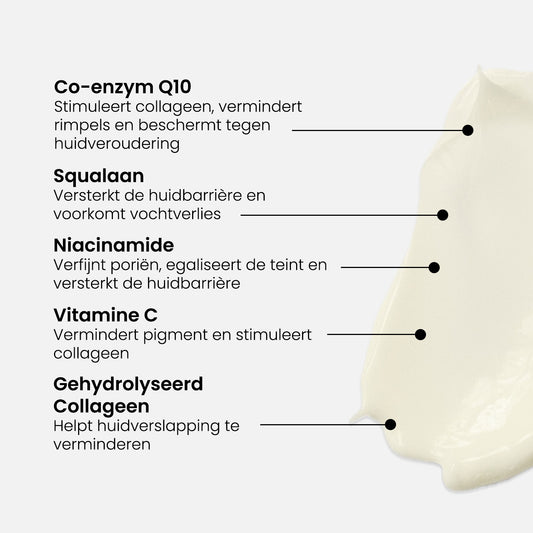 Q10 Anti-Aging Night Cream